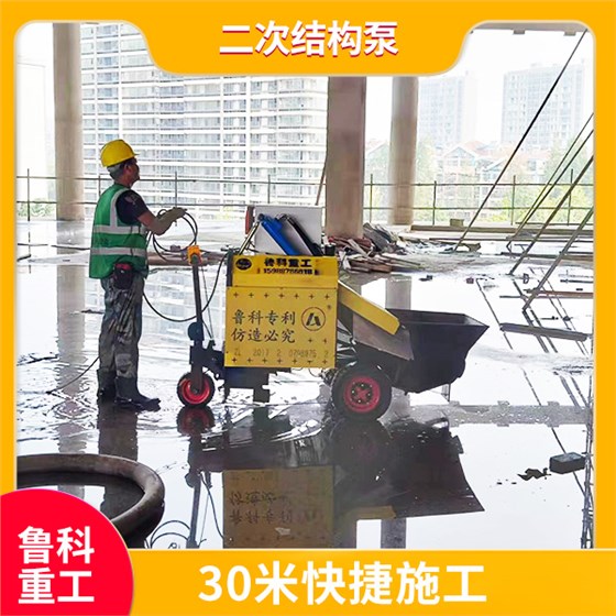 二次結(jié)構(gòu)砼小型澆筑機(jī) 二次結(jié)構(gòu)砼小型澆筑機(jī)